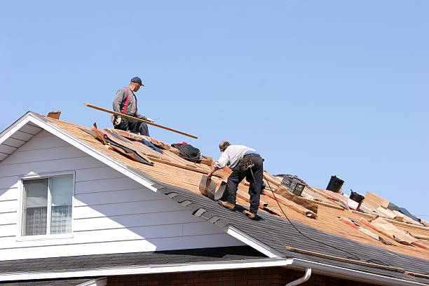 Best Roof Inspection  in Pitola, CA